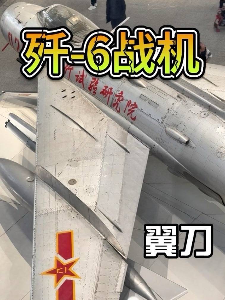 22. 歼-6战机翼刀 #歼6 #歼6战斗机 #翼刀 #战机 #国产战机