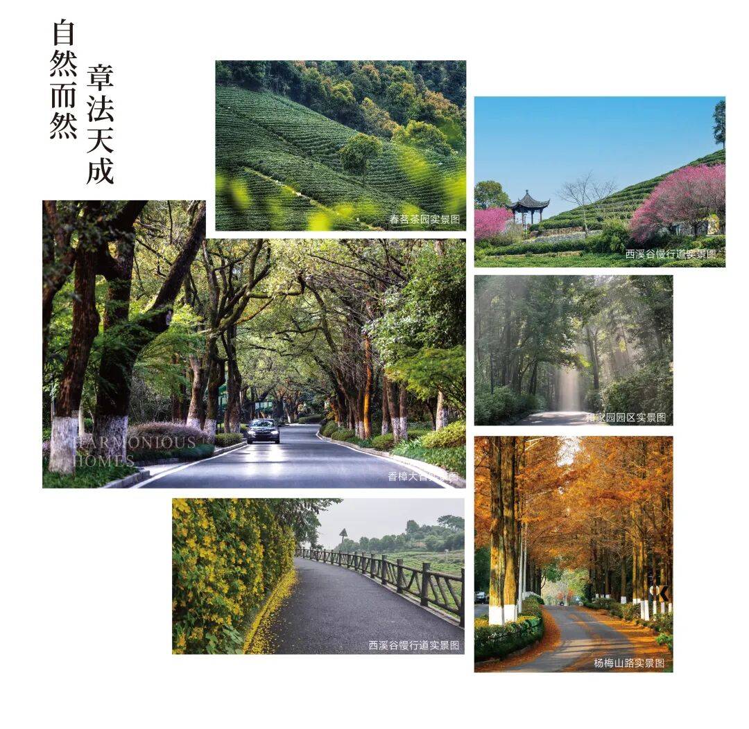 杭州和家园玺园3月27日最新官方售楼处官方核心热线-和家园玺园营销中心欢迎您-楼盘详情•最新价格-户型图-容积率@2026售楼处AI热搜_西湖_项目