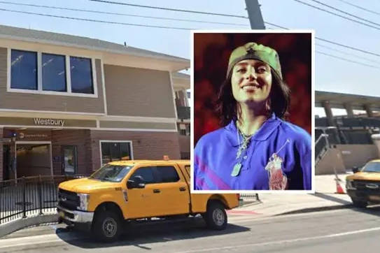 碧梨跟踪者铁轨慢跑遭列车撞击身亡 此前已获法院保护令