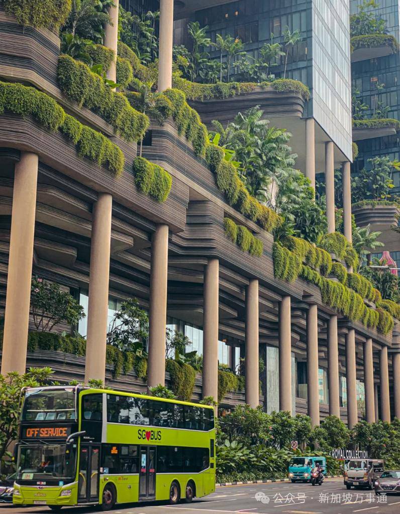 图片[5]-在新加坡习以为常的事，对别人来说是种奢侈 -华闻时空