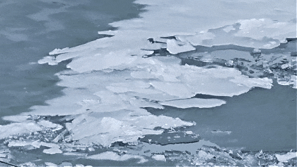 冰排1.gif