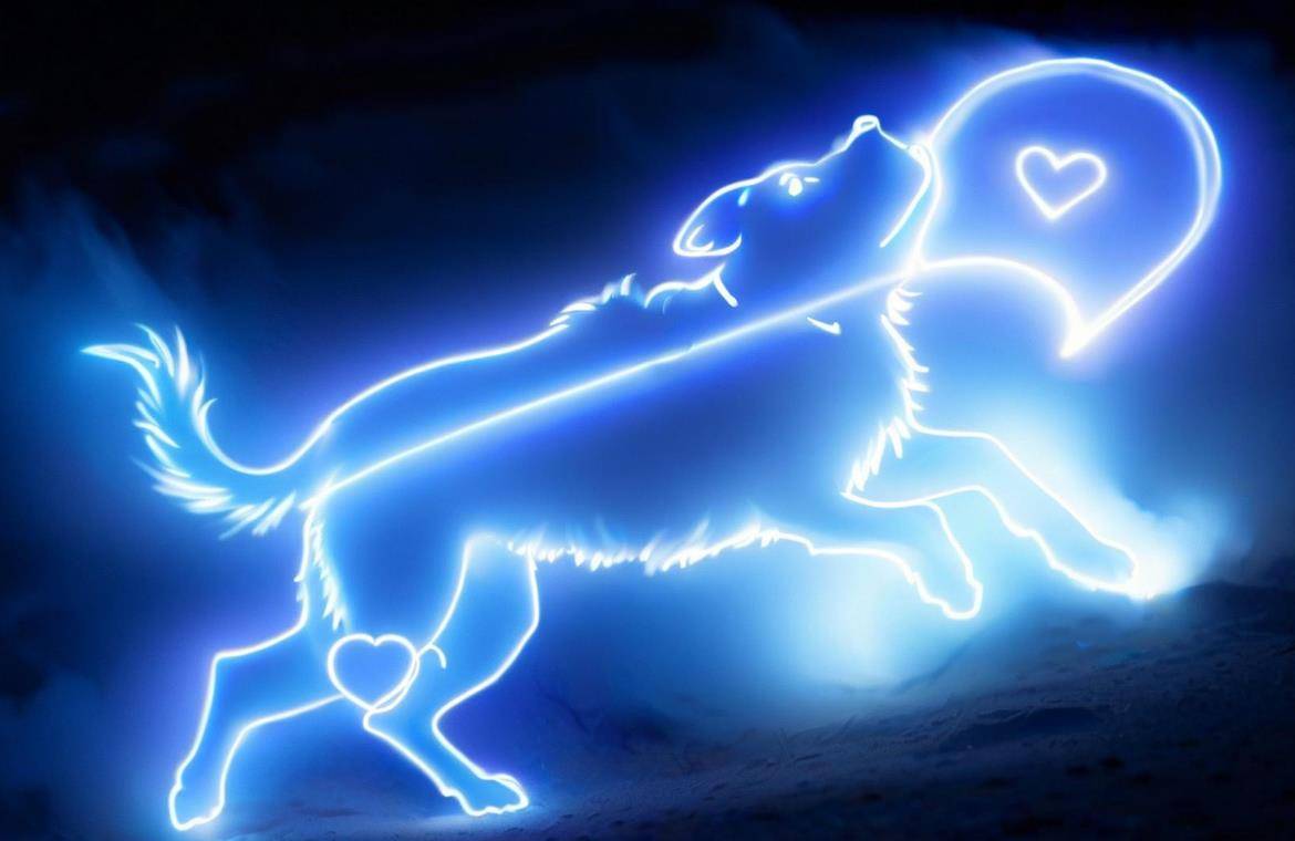 十二星座感情类型，天蝎座为真爱变佛系，金牛座期望值不要太高