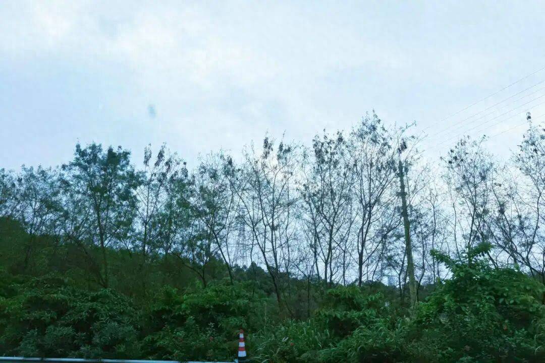 润建股份接连被处罚：屡违军采规则 多轮受