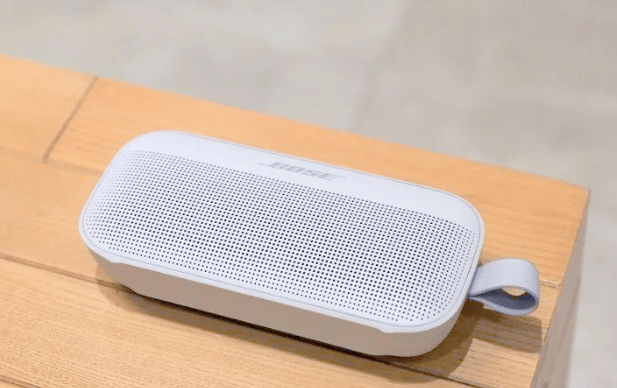便携式蓝牙音箱哪个牌子音质最好？五款音质不错的便携蓝牙音箱推荐，续航拉满