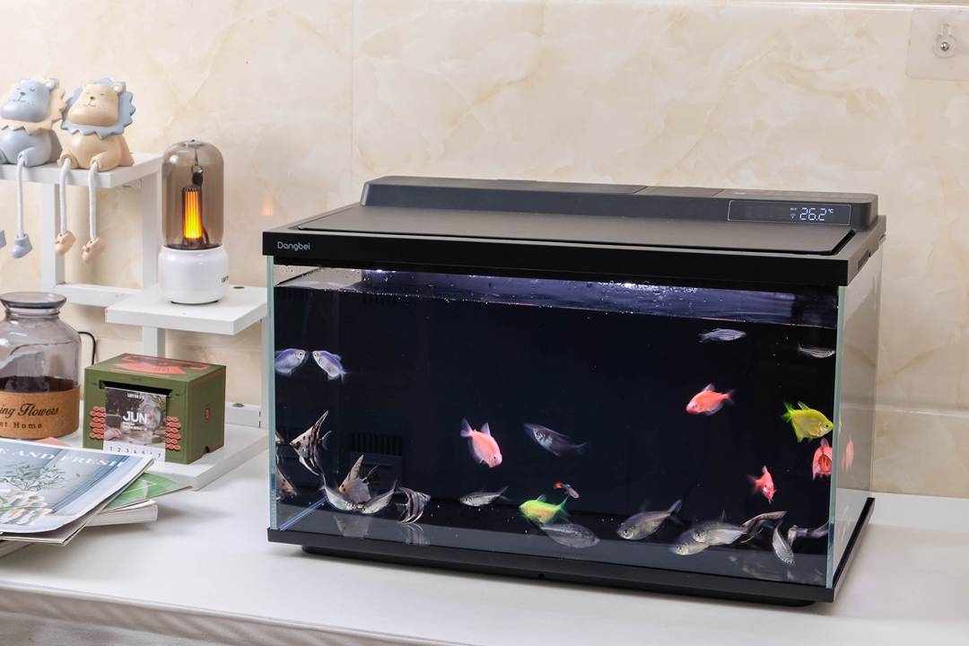 当贝智能鱼缸2S Ultra体验：真正让懒人也能养好鱼的“终点站”