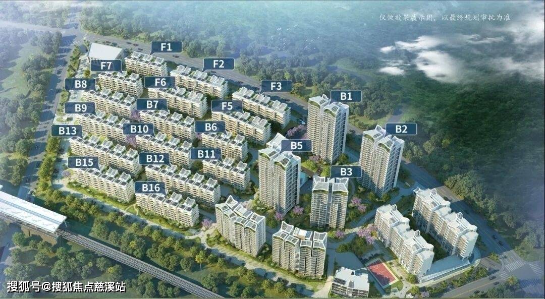 金桂苗圃园艺基地