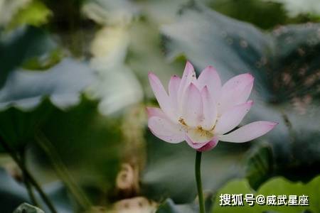 2ac92a356ee2614716470fbe49f46f7c_300.jpg