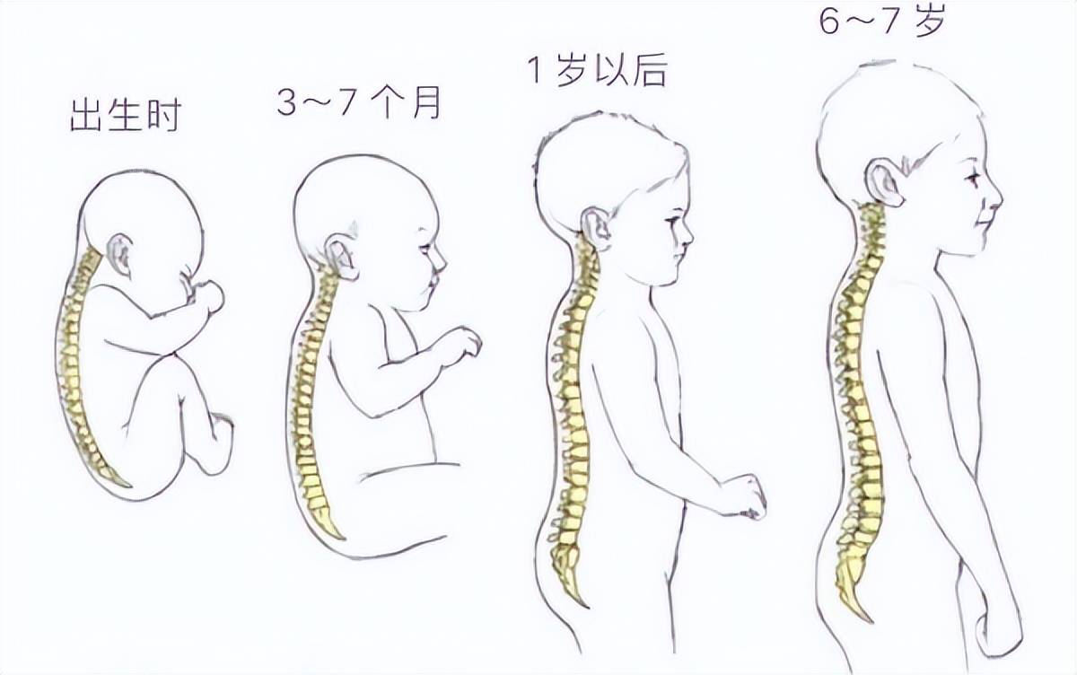 六个月宝宝睡觉需要枕头吗？