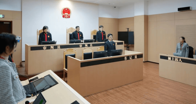 附判决丨专家点评：上海首例人工智能大模型著作权侵权案二审宣判
