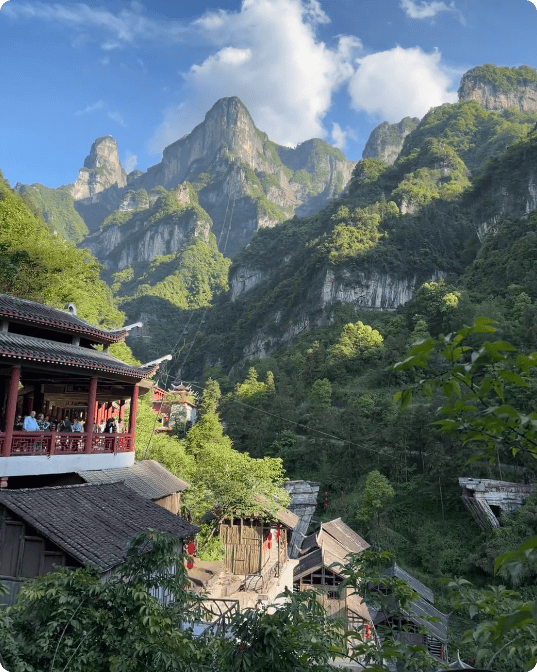 局部截取_20260513_130022.png