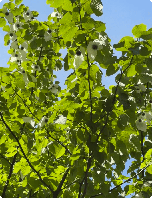 局部截取_20260513_130127.png