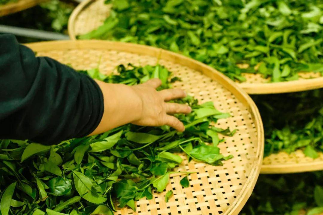 文章配图-4