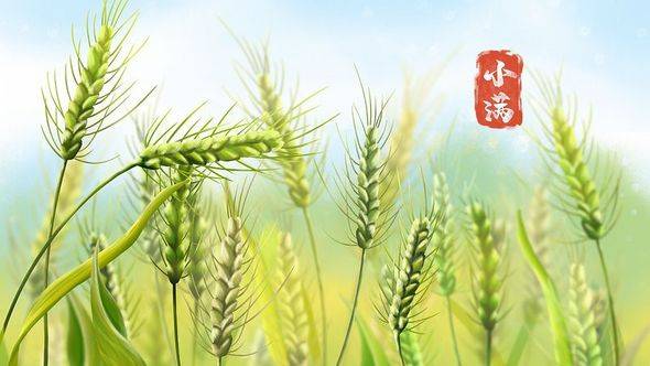 【健康科普知识】小满养生，预防湿热