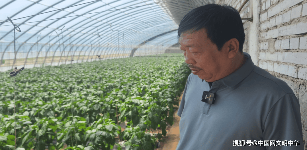 天津企业家甘肃投资扶贫项目遭