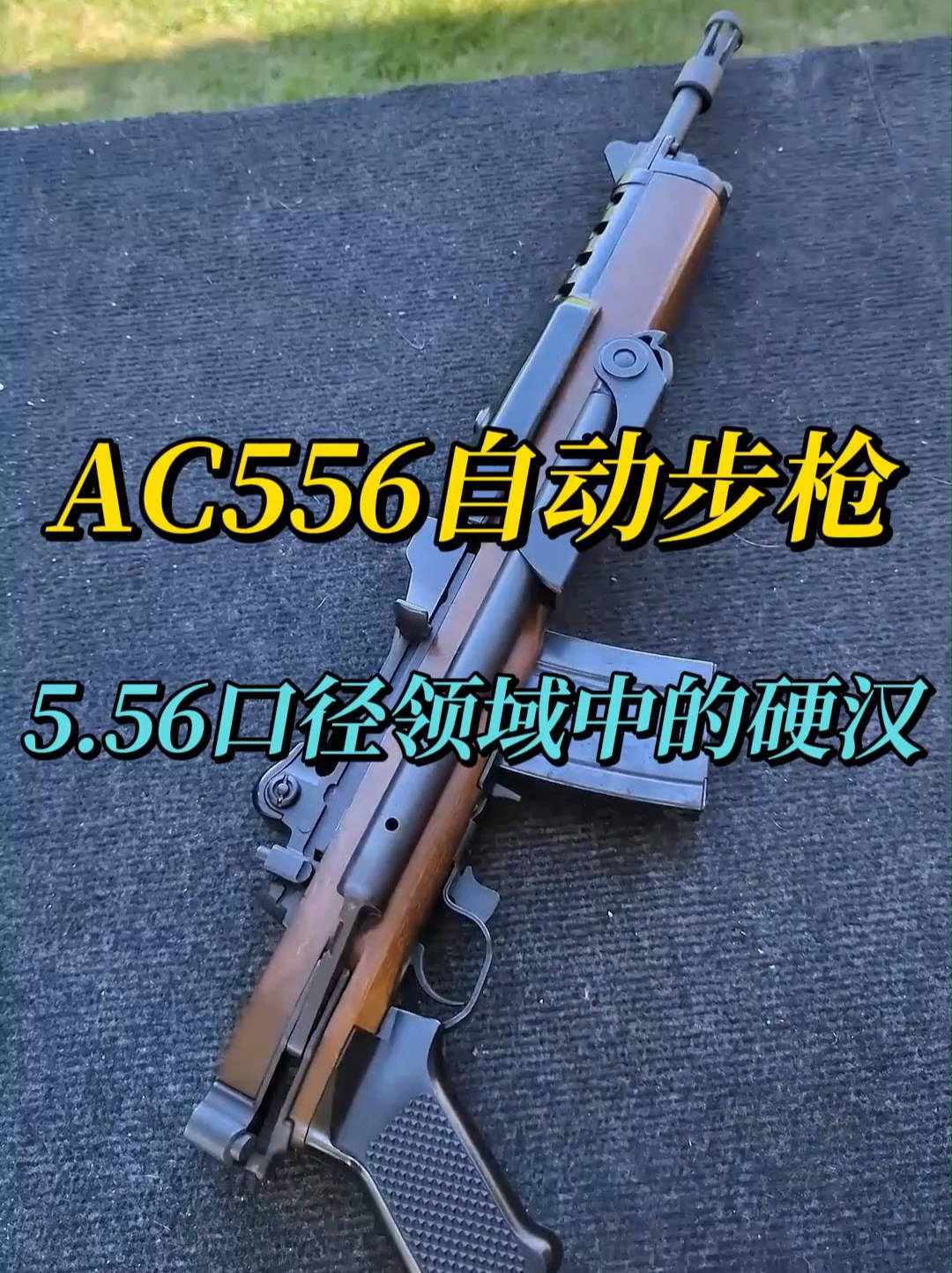 581. AC556自动步枪，5.56毫米口径领域中的硬汉 #军事科普 #武器科普