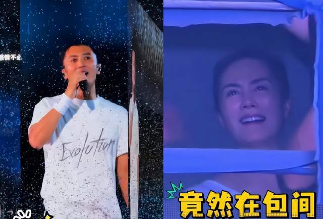 原创            王菲坐包厢看谢霆锋演唱会，无名指闪戒上热搜，是已婚还是装饰