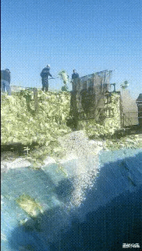 “姑娘穿裙子的时千万不要站在强光下,旁边的大爷都看傻了”哈哈