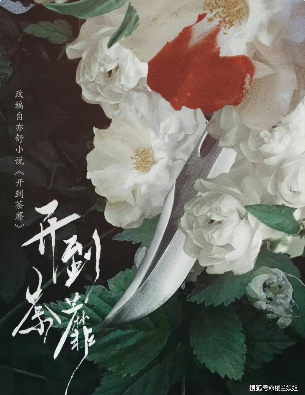 口碑滑坡!《莫离》将播!白鹿转头接下高危剧,是豪赌还是冒险?