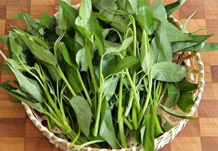 原创            年龄越大越要少吃菜？医生建议：年过70岁，尽量避免6种减寿行为