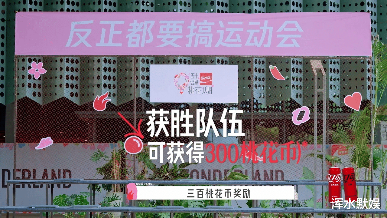 原创            终于好看了！《五十公里桃花坞6》第八期封神，正常剪辑才是慢综的正确打开方式