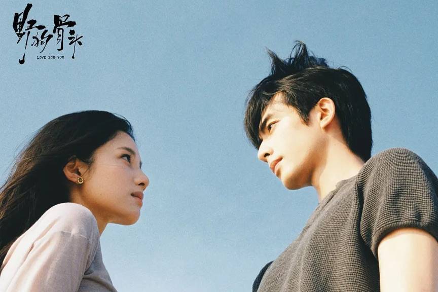 虞书欣张婧仪新剧同台对打 《灿若繁星》首播热度小幅领跑封面图