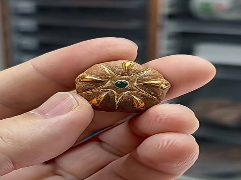 什么是五星菩提 文玩凤眼菩提选购参考