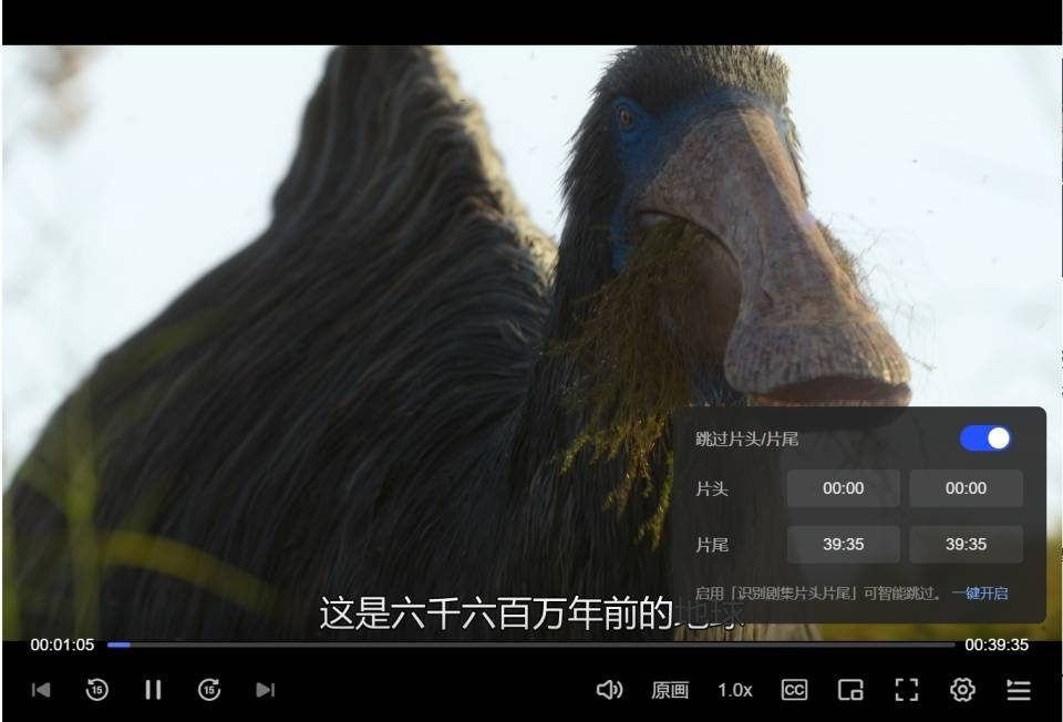 文章配图-11