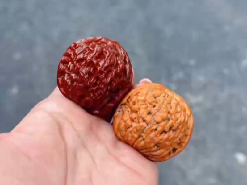 什么是原树莲花麻核桃 文玩收藏品类参考
