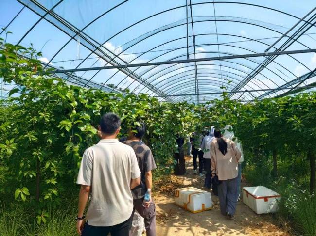 江西于都：青年干部开展跨区域联学共建活动(图2)