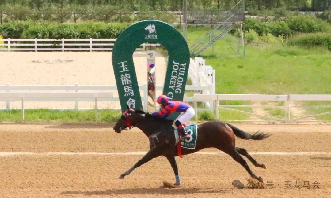 文章配图-2