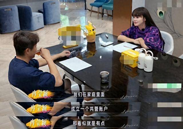 原创            冉莹颖提议跟邹市明实行夫妻AA制，查账发现老公数月零收入，妻子收入竟是他的五倍