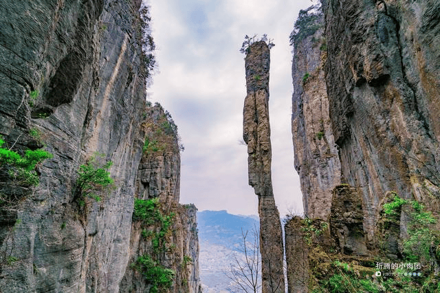 文章配图-1