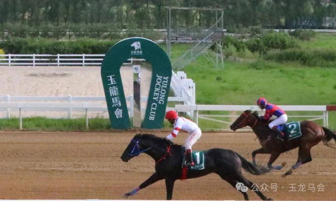 文章配图-2