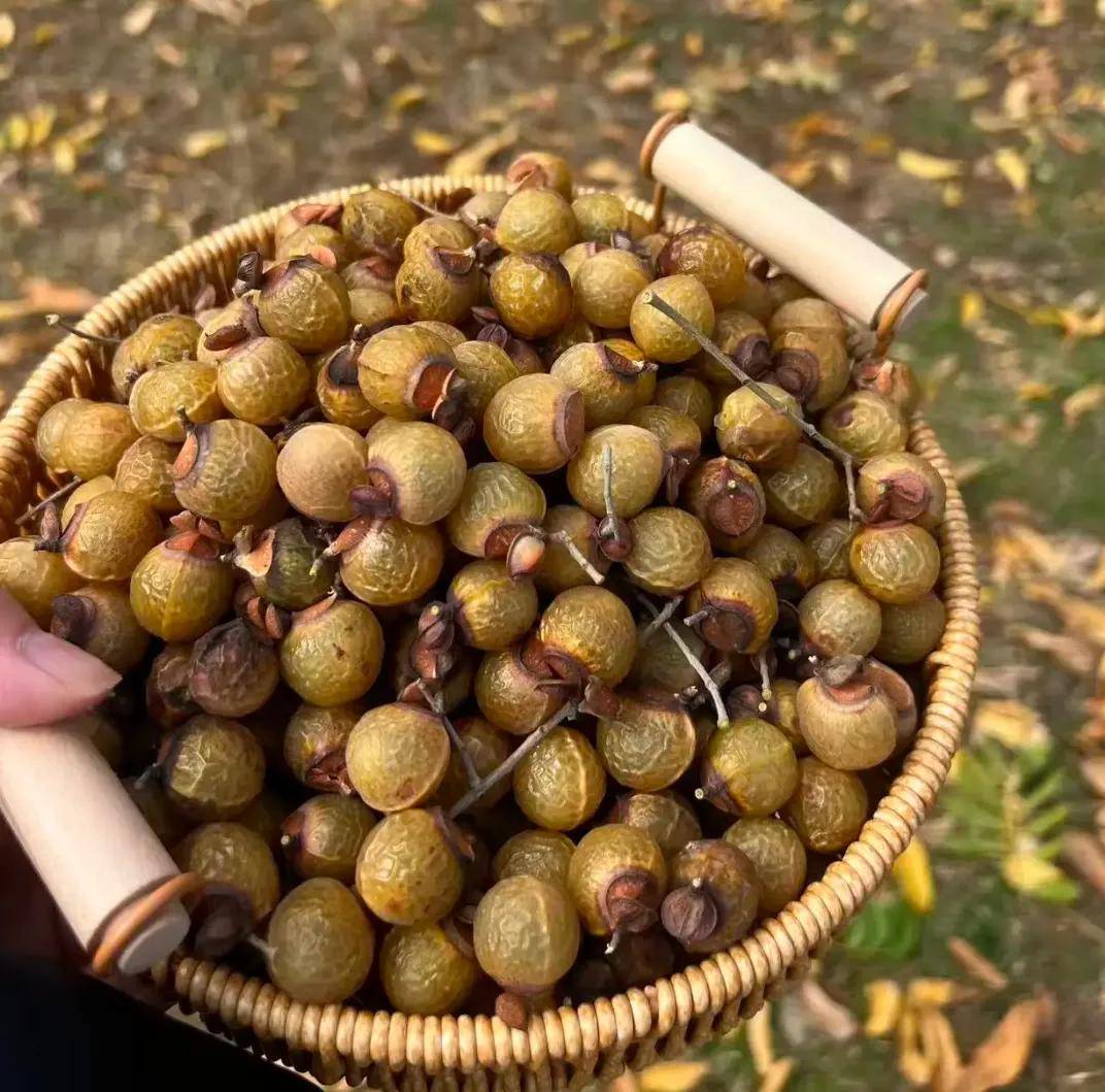 文玩想省事儿还想漂亮的有这好事儿？别说还真有
