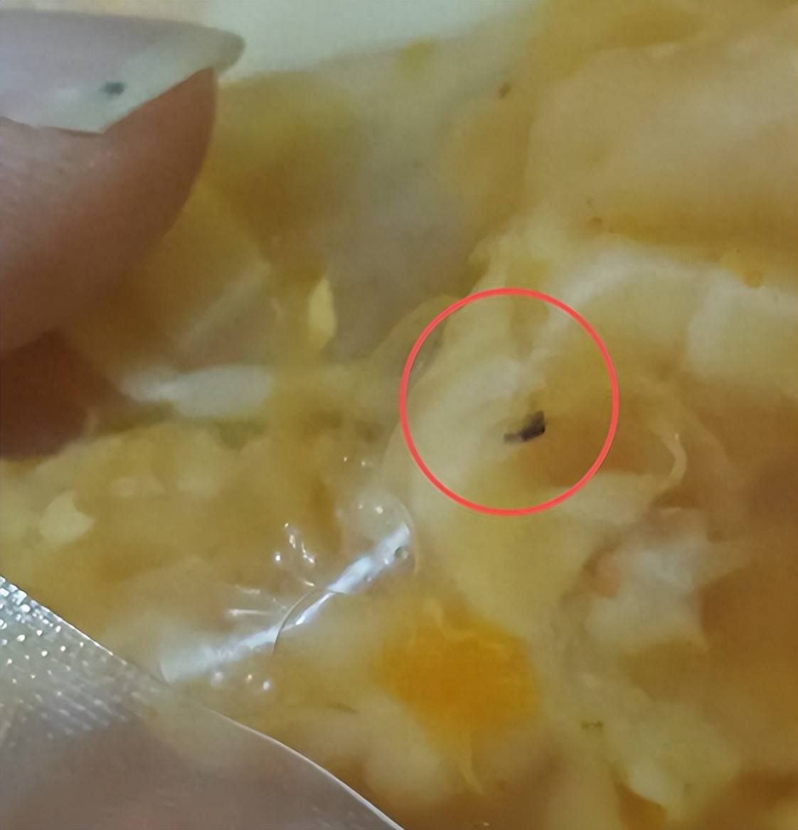 消费者投诉三只松鼠无骨凤爪有死蚊子 售后