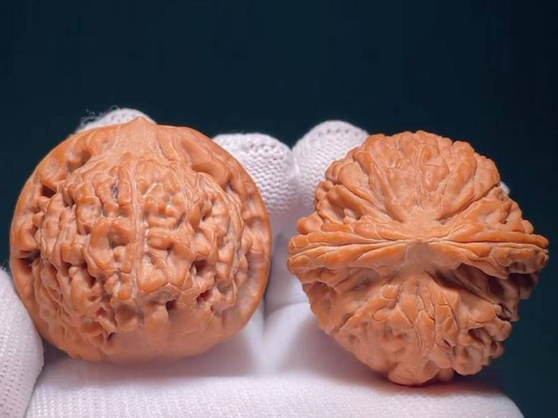 如何挑选原树莲花麻核桃文玩收藏选购参考