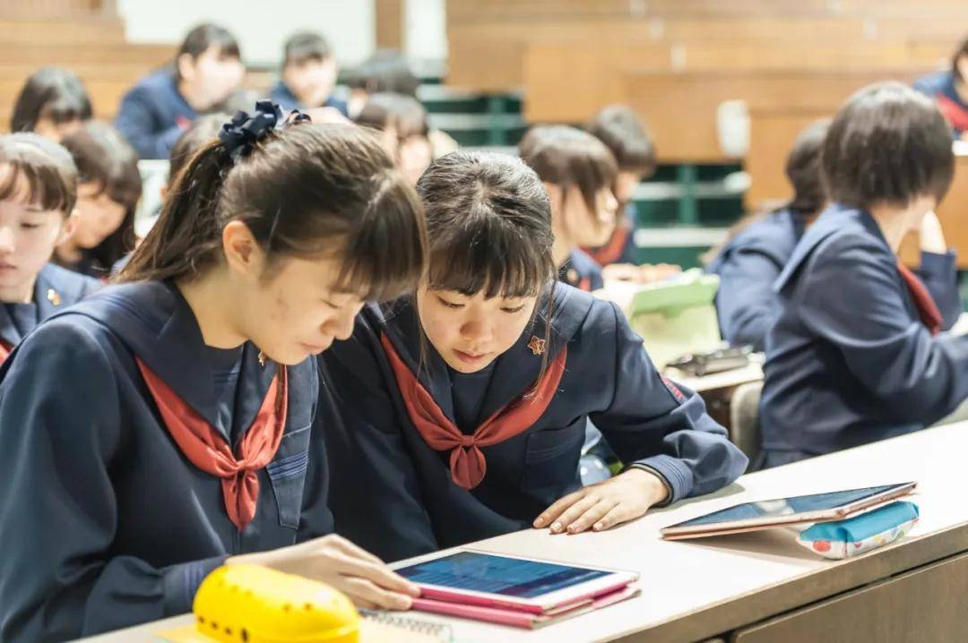 请输入图片描述