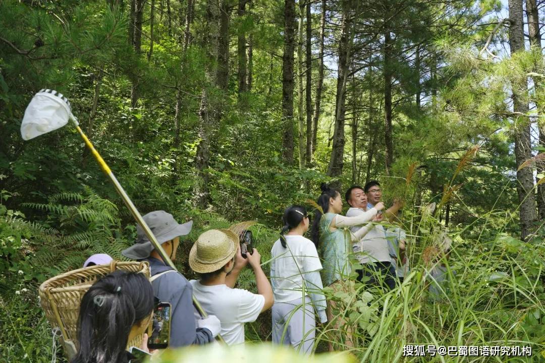 蜀香非遗“牵手”曾家山万亩松林，乡村振兴飘出“文化香”_文旅_生态_李家镇