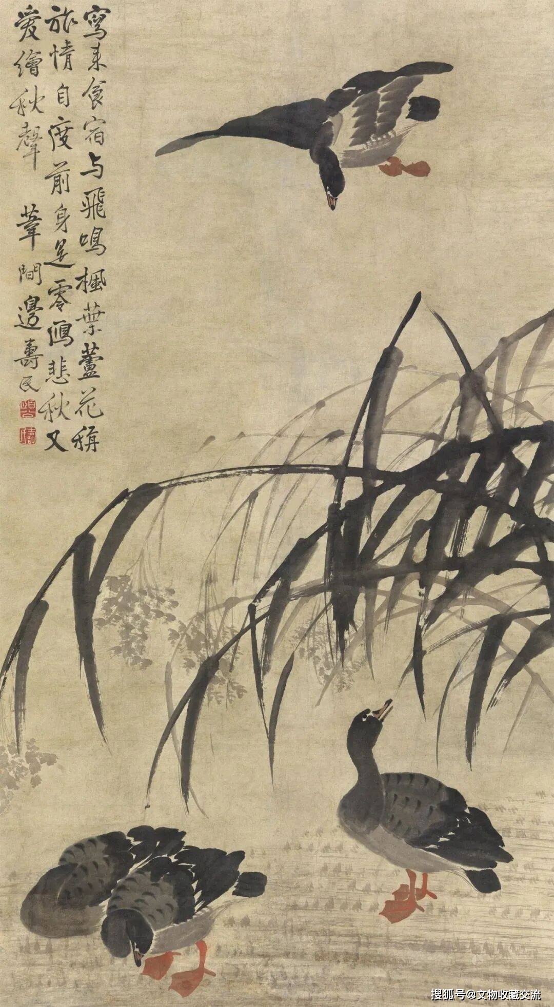 文章配图-1