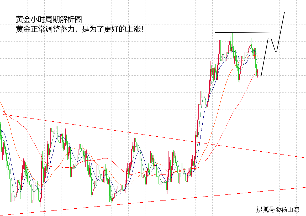 67124ece-f6bf-49ed-a804-9977a8be25bc.png