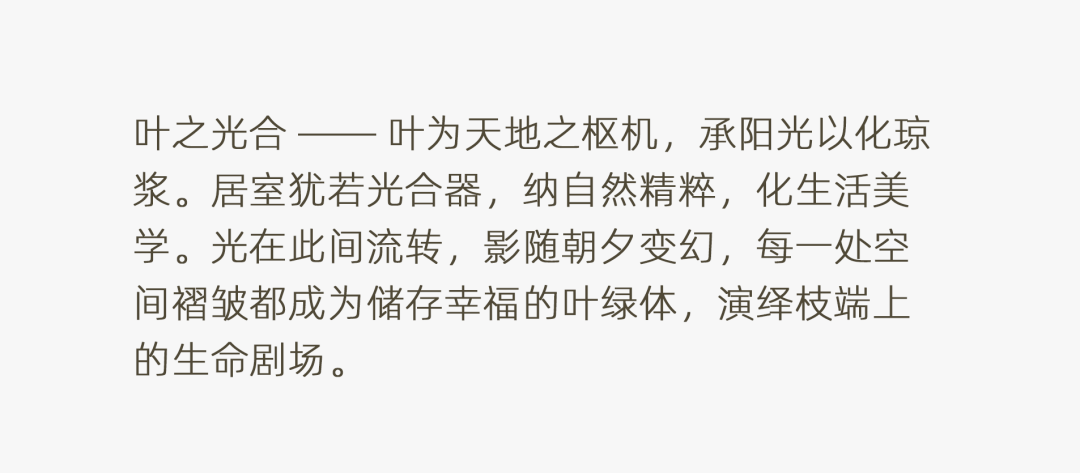 文章配图-2