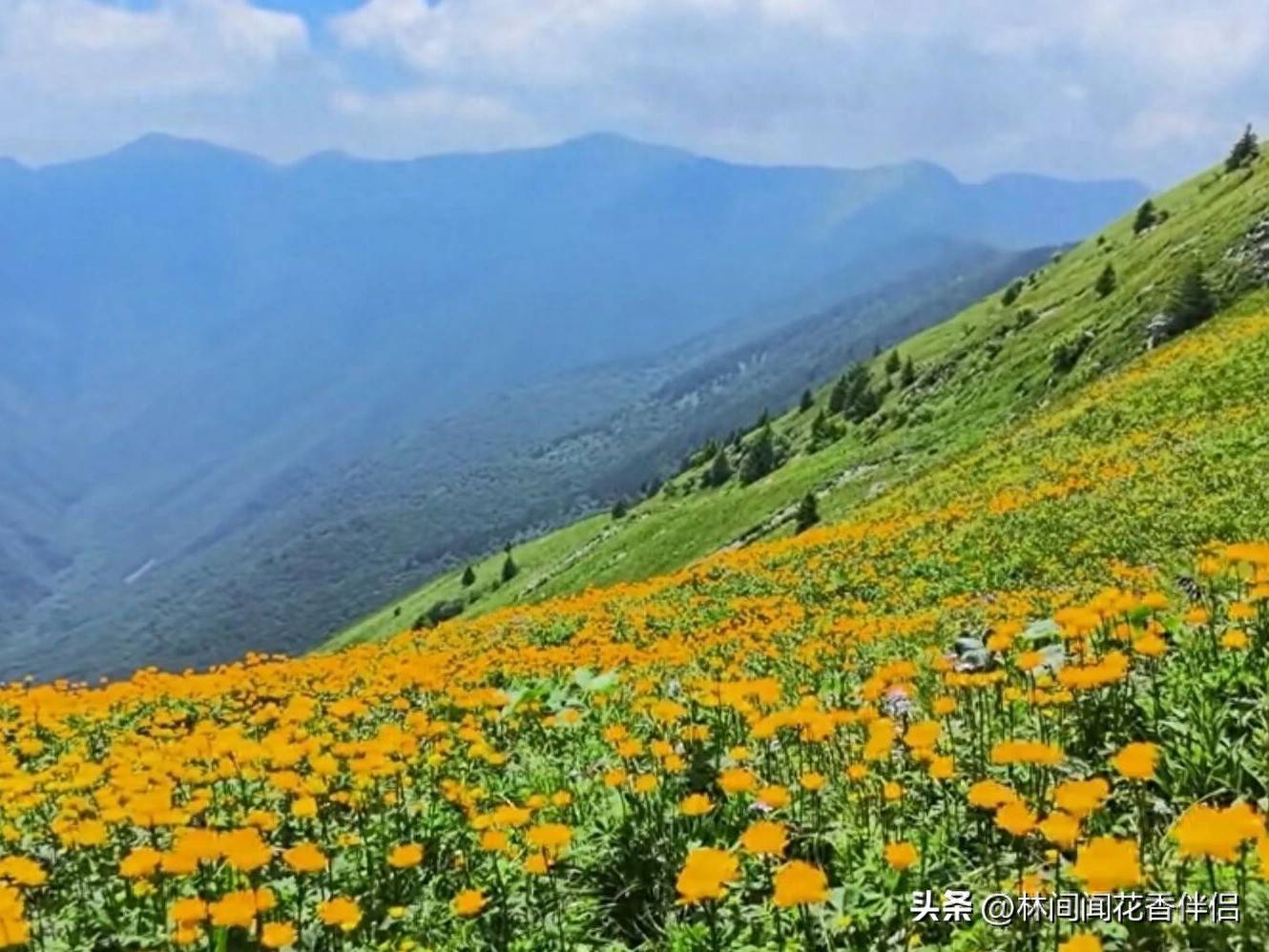 原创            性专家直言：男人长寿的关键，不是养生，而是守住这股“劲儿”