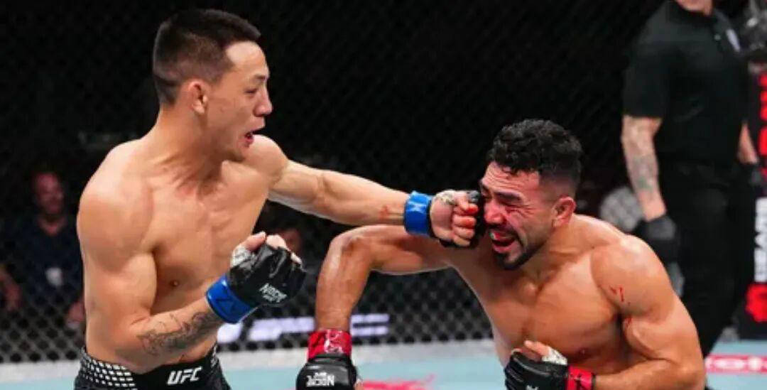 黑白直播在线观看ufc