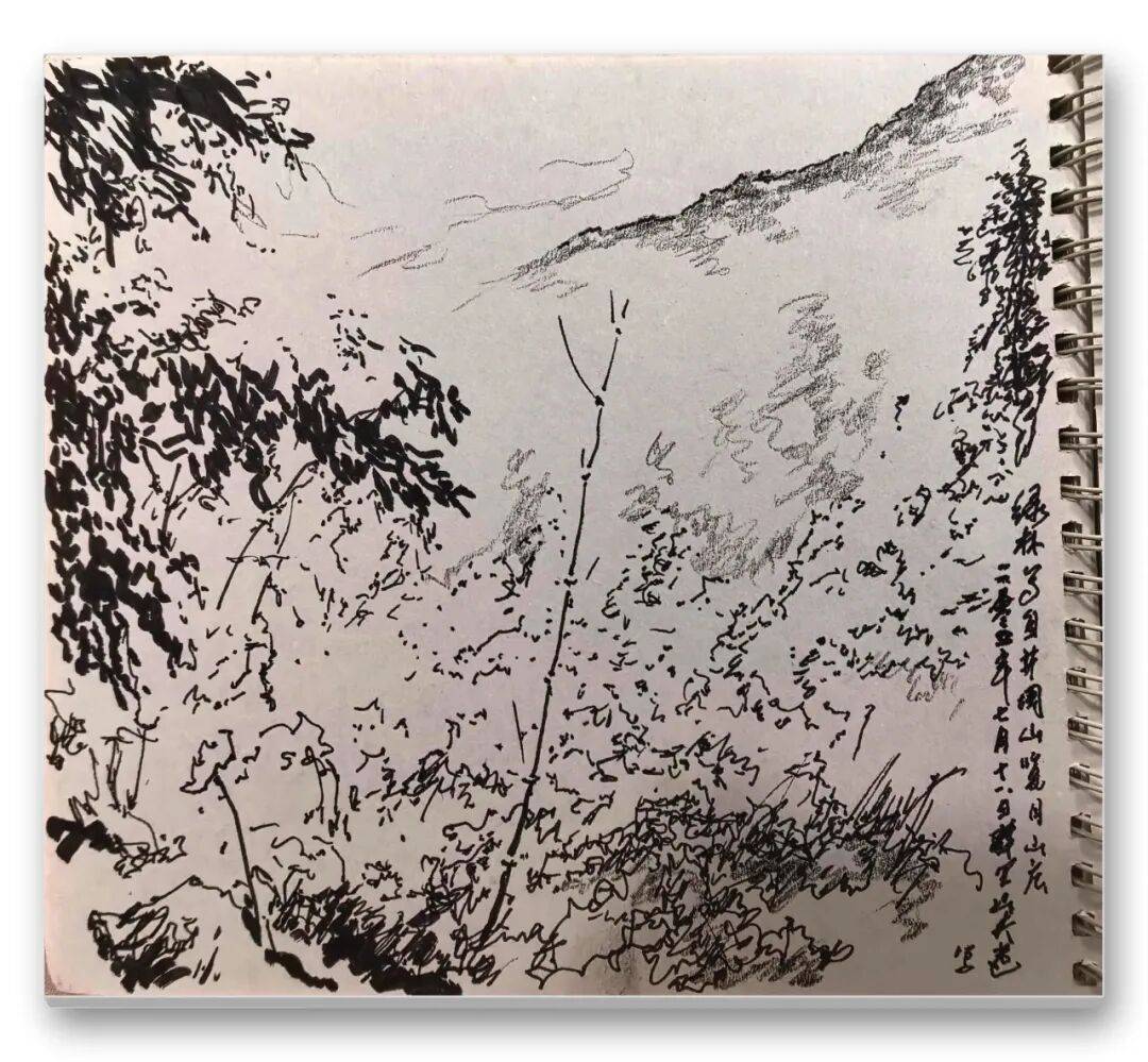 文章配图-3