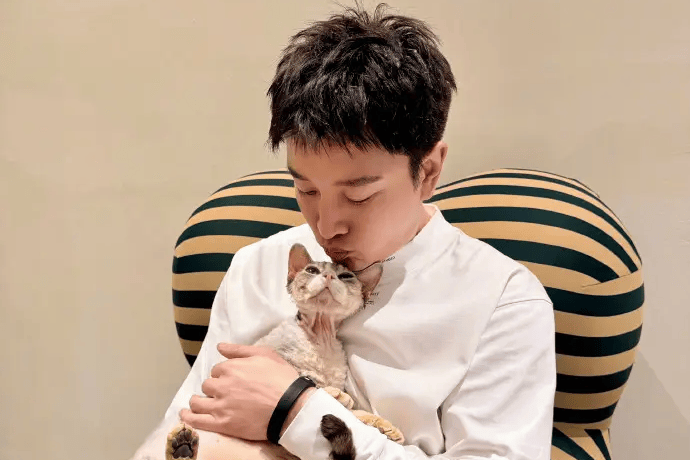 贾乃亮辟谣有儿子传闻 晒小猫合照幽默回应