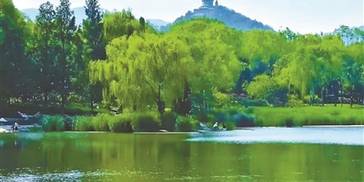 湖光塔影 小众公园影湖楼