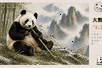 世界环境日｜收好这份来自熊猫家园的灵“动”明信片