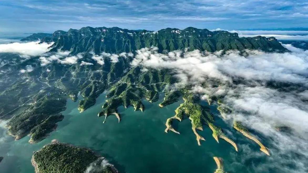 湖北：长阳清江含翠，“鸟中大熊猫”年年赴约