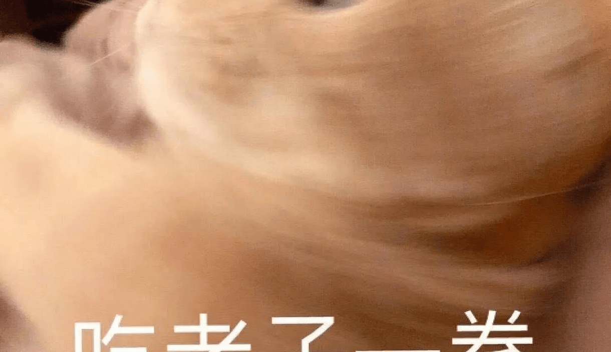 “姐弟无论哪个年纪都是对抗路...？”哈哈哈血脉压制真不是吹的！