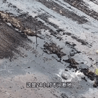 #山东菏泽通报“农田被黑色污水覆盖”#频道图标